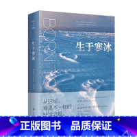 生于寒冰 [正版]生于寒冰 世界极地科普摄影 当代摄影大师保罗·尼克伦15年极地探险,精选171幅摄影大片,记录正在