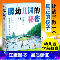 [正版]新书 藤幼儿园的秘密 加藤积一著 9787303236268 中小学教辅教育理论 教师用书幼儿园学前教育 幼儿园