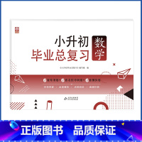 数学 小学升初中 [正版]2023小升初系统总复习真题卷必刷题人教版复习资料模拟试卷小学毕业总复习冲刺专题卷六年级寒假衔