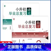 语文+数学[全2册] 小学升初中 [正版]2023小升初系统总复习真题卷必刷题人教版复习资料模拟试卷小学毕业总复习冲刺专