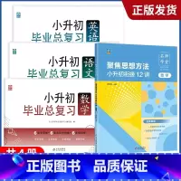总复习+数学思想方法12讲[全4册] 小学升初中 [正版]2023小升初系统总复习真题卷必刷题人教版复习资料模拟试卷小学