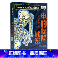 可怕的科学- 电的惊险秘密 [正版]2023年三年级北京暑假阅读书目 探索雨林百合静静绽放可怕的科学- 电的惊险秘密彩虹