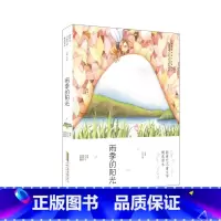 雨季的阳光 [正版]2022年六年级山东暑假读一本好书 雨季的阳光 六年级课外阅读书书目小学生百年百部中国儿童文学经典书