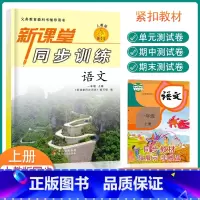 同步训练+阅读课堂 小学一年级 [正版]新版语文新课堂同步训练一年级上册语文课堂同步辅导练习册人民教