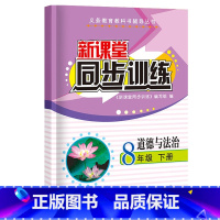 道德与法治 八年级/初中二年级 [正版]2023新课堂同步训练语文数学英语政治地理生物理八年级下册课堂辅