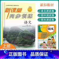 人教版语文 三年级上 [正版]新课堂同步训练三年级上册语文课堂同步辅导练习册人教版专项训练