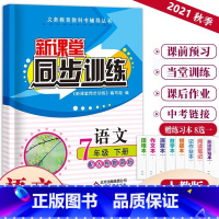 语文 七年级/初中一年级 [正版]2023版新课堂同步训练语文七年级下册同步练习册人教版初一全套练习册7年级必刷题同步写