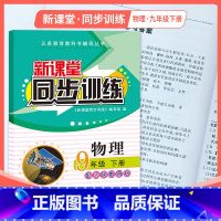 物理 九年级/初中三年级 [正版]2023新课堂同步训练物理九年级下册课堂辅导人教版专项训练九年级