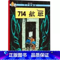 [大开本21-714航班] [正版]埃尔热丁丁历险记全套22册大开本绘本漫画故事书 一二三年级小学生有趣课外阅读书籍版6