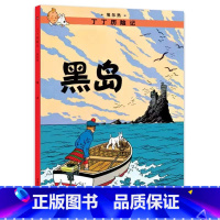 [大开本6-黑岛] [正版]埃尔热丁丁历险记全套22册大开本绘本漫画故事书 一二三年级小学生有趣课外阅读书籍版6-12岁