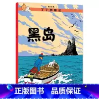 [大开本6-黑岛] [正版]埃尔热丁丁历险记全套22册大开本绘本漫画故事书 一二三年级小学生有趣课外阅读书籍版6-12岁