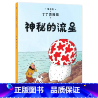 [大开本9-神秘的流星] [正版]埃尔热丁丁历险记全套22册大开本绘本漫画故事书 一二三年级小学生有趣课外阅读书籍版6-