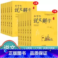 说文解字[上下册]2本 小学六年级 [正版]小学生说文解字 小学生写字 一二三四五六年级上下册 语文教科书文字讲解生字学