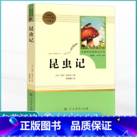 昆虫记 [正版]人教版八年级上册阅读昆虫记红星照耀中国原著课外阅读8上名著初中人民教育出版社寂静的春天飞向太空港长征星星