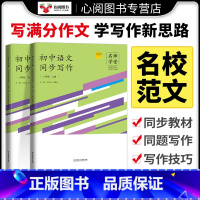 同步阅读 八年级下 [正版]名师学堂新版初中生语文同步作文写作阅读八年级上下册古诗文阶梯助学每日一文语文阅读理解与答题模