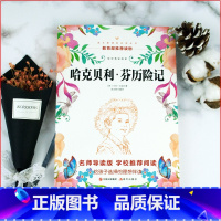 单本全册 [正版]哈克贝利·芬历险记 马克.吐温著 2-6年级名著早读课外书6-7-8-12岁故事书 假期课外读物青少