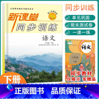 [正版]2023新版小学新课堂同步训练六年级下册语文课堂同步辅导练习册人