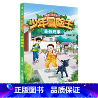 少年冒险王---暑假趣事 [正版]2023年二年级北京暑假阅读书目妈妈睡了少年冒险王传奇-俗世奇人数学精灵希里克---兔