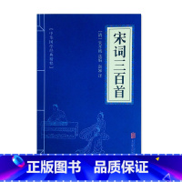 宋词三百首 七年级/初中一年级 [正版]2023版新课堂同步训练语文数学英语七年级下册同步练习册人教北师版初一全套练习册