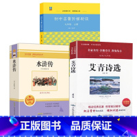 初中名著阅读+名著导读[] 九年级上 [正版]初中名著阅读九年级上阅读初中生阅读 世界经典文学名著初中阅读名著水浒传