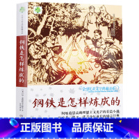 钢铁是怎样炼成的 [正版]中华经典阅读书目 钢铁是怎样炼成的 中小学生阅读书系 湖南少年儿童出版社