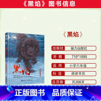 黑 焰 [正版]2023潍坊市暑期青少年读书行动六年级全套蓝鲸凯利历险记黑焰阿莲背影六年级暑期课外阅读书籍