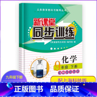 化学 九年级/初中三年级 [正版]新课堂同步训练化学九年级下册配沪教版上海教育版专项训练基础