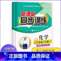 化学 九年级/初中三年级 [正版]新课堂同步训练化学九年级下册配沪教版上海教育版专项训练基础
