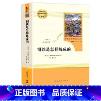 钢铁是怎样炼成的(人教版) [正版]经典常谈 朱自清著 人民文学出版社 八年级下册语文拓展名著阅读 钢铁是怎样炼成的人教