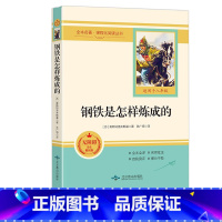 钢铁是怎样炼成的(无障碍阅读) [正版]经典常谈 朱自清著 人民文学出版社 八年级下册语文拓展名著阅读 钢铁是怎样炼成的