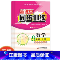 数学 [正版]2023新课堂同步训练数学九年级上册课堂辅导华东师大版专项训练9