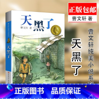 天黑了 [正版] 天黑了 曹文轩著 曹文轩纯美小说系列:天黑了 小学生三四五六年级阅读书目