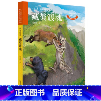 传奇野性:藏獒渡魂 [正版]百师阅读2023暑期书单小学四年级书香一夏藏獒渡魂说文解字四年级