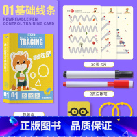 [基础线条]一盒体验装 [正版]幼儿控笔训练幼儿园幼小衔接练字帖专注力训练字小学生可反复使用趣味训练卡3-8岁儿童启蒙益
