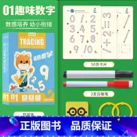 [趣味数字]一盒体验装 [正版]幼儿控笔训练幼儿园幼小衔接练字帖专注力训练字小学生可反复使用趣味训练卡3-8岁儿童启蒙益