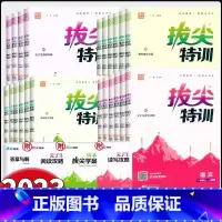 语文-人教版 四年级上 [正版]2024新版拔尖特训一二三四五六年级上下册语文数学英语人教版北师大版小学123456年级