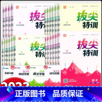 语文-人教版 五年级下 [正版]2024新版拔尖特训一二三四五六年级上下册语文数学英语人教版北师大版小学123456年级