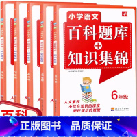 [小学23456年级]5本套装 小学通用 [正版]新版 小学语文百科题库+知识集锦二三四五六年级上下册通用 5本小学