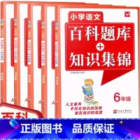 [小学23456年级]5本套装 小学通用 [正版]新版 小学语文百科题库+知识集锦二三四五六年级上下册通用 5本小学