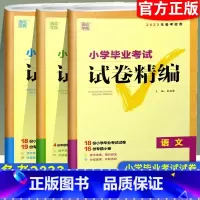 [英语]试卷精编 小学升初中 [正版]2023版小学毕业考试试卷精编语文数学英语小升初系统总复习专项训练真题模拟试卷通城