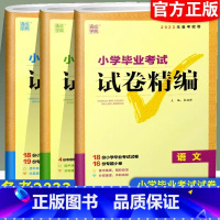 [语文]试卷精编 小学升初中 [正版]2023版小学毕业考试试卷精编语文数学英语小升初系统总复习专项训练真题模拟试卷通城
