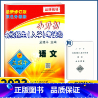 语文 小学升初中 [正版]2023新版孟建平小升初语文名校招生入学考试卷人教版六年级下册小升初语文专项训练真题卷知识册模