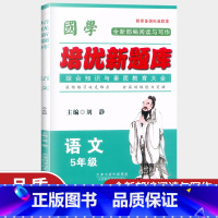 语文 小学五年级 [正版]国学培优新题库综合知识与素质教育大全语文五年级 小学5年级语文基础知识积累与运用专项训练字音字