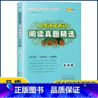 语文 小学五年级 [正版]新版小学语文考试阅读真题精选专练详解五年级上册下册 小学5年级语文阅读理解专项训练书考试真题分