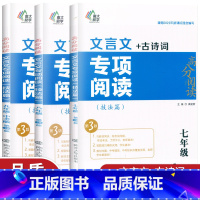 文言文专项阅读 八年级/初中二年级 [正版]新版初中文言文古诗词专项阅读七八九年级上下册技法篇初一二三文言文全解一本通逐