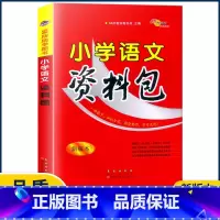 语文 小学通用 [正版]2022新版小学语文资料包 版本全国通用版小学语文知识大全集锦基础手册大集结一二三四五六年级小升