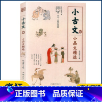 小古文6—小品文精选 小学通用 [正版]2023版疯狂阅读小古文系列全套8册任选中考高考作文素材古文文言文国学经典分级阅