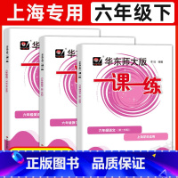 6年级下 语数英[3册] 六年级 [正版]华东师大版一课一练六年级上下册语文数学英语普通版增强版6年级上海沪教版初中教辅