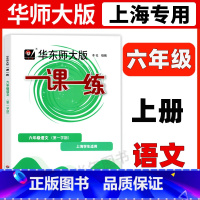 6年级上 语文 六年级 [正版]华东师大版一课一练六年级上下册语文数学英语普通版增强版6年级上海沪教版初中教辅同步练习册
