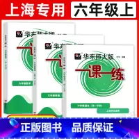 6年级上 语数英[3册] 六年级 [正版]华东师大版一课一练六年级上下册语文数学英语普通版增强版6年级上海沪教版初中教辅